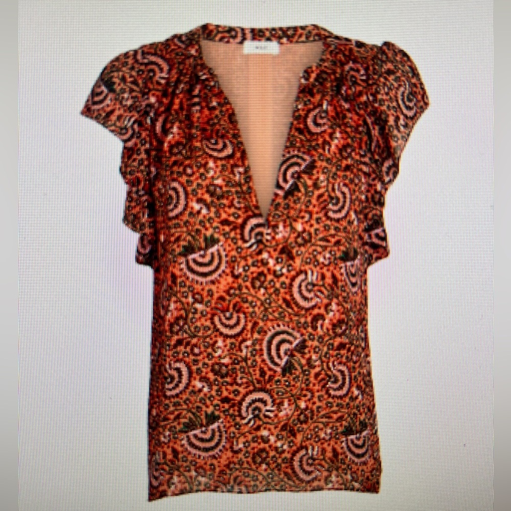 A.L.C. June ruffled floral chiffon top Size 4